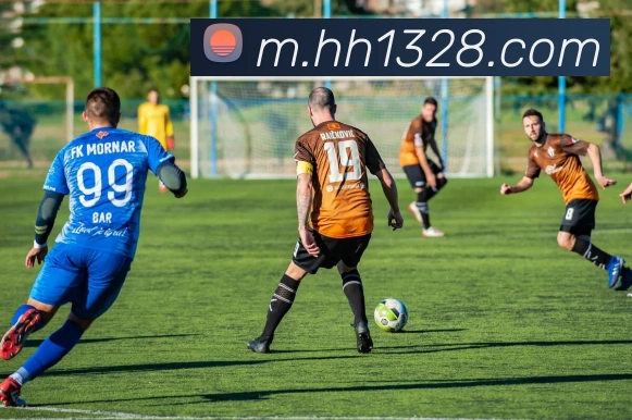 火狐体育官网首页服务体系